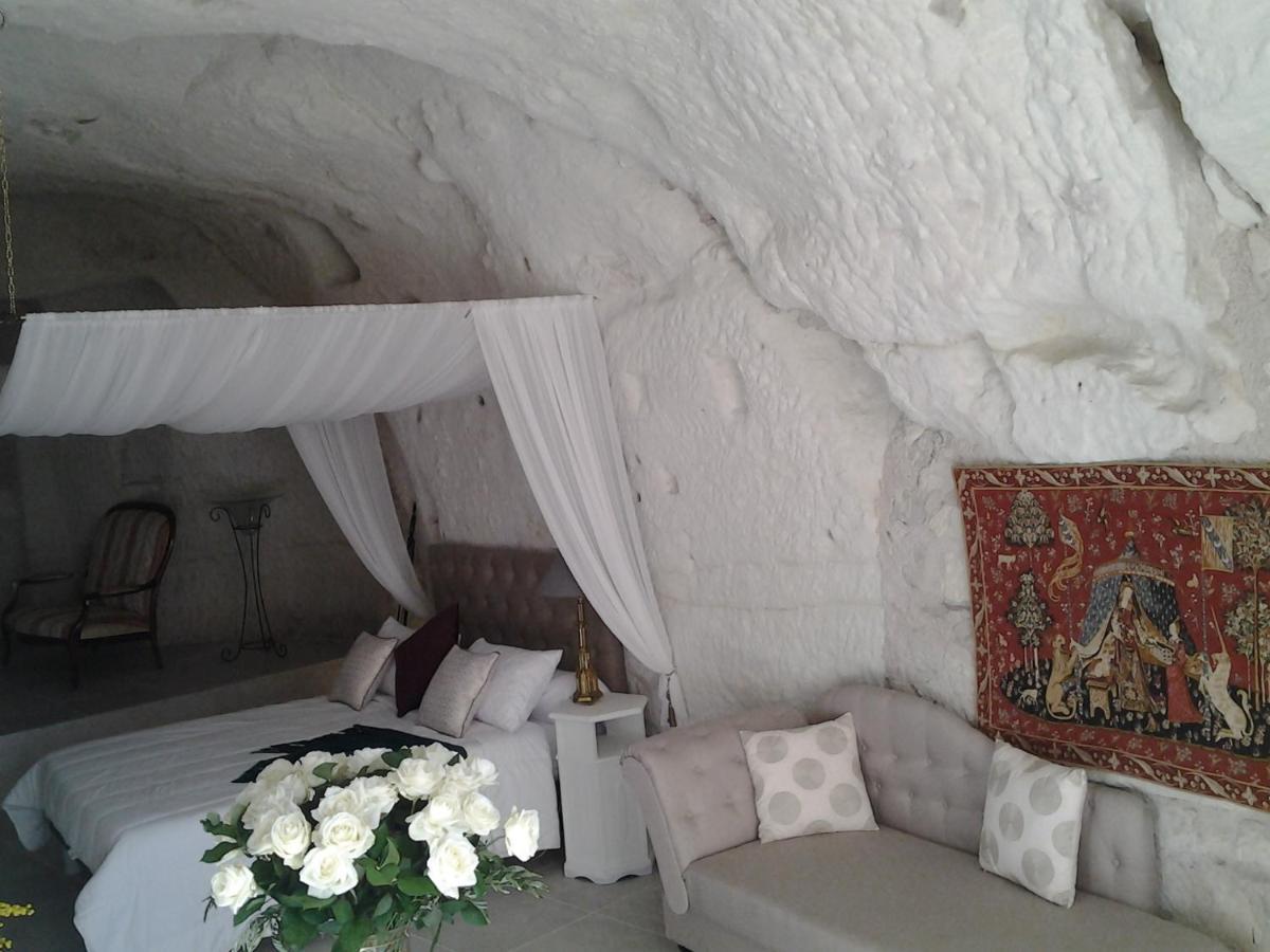 Le Manoir Des Roches Bed & Breakfast Bourré Екстериор снимка