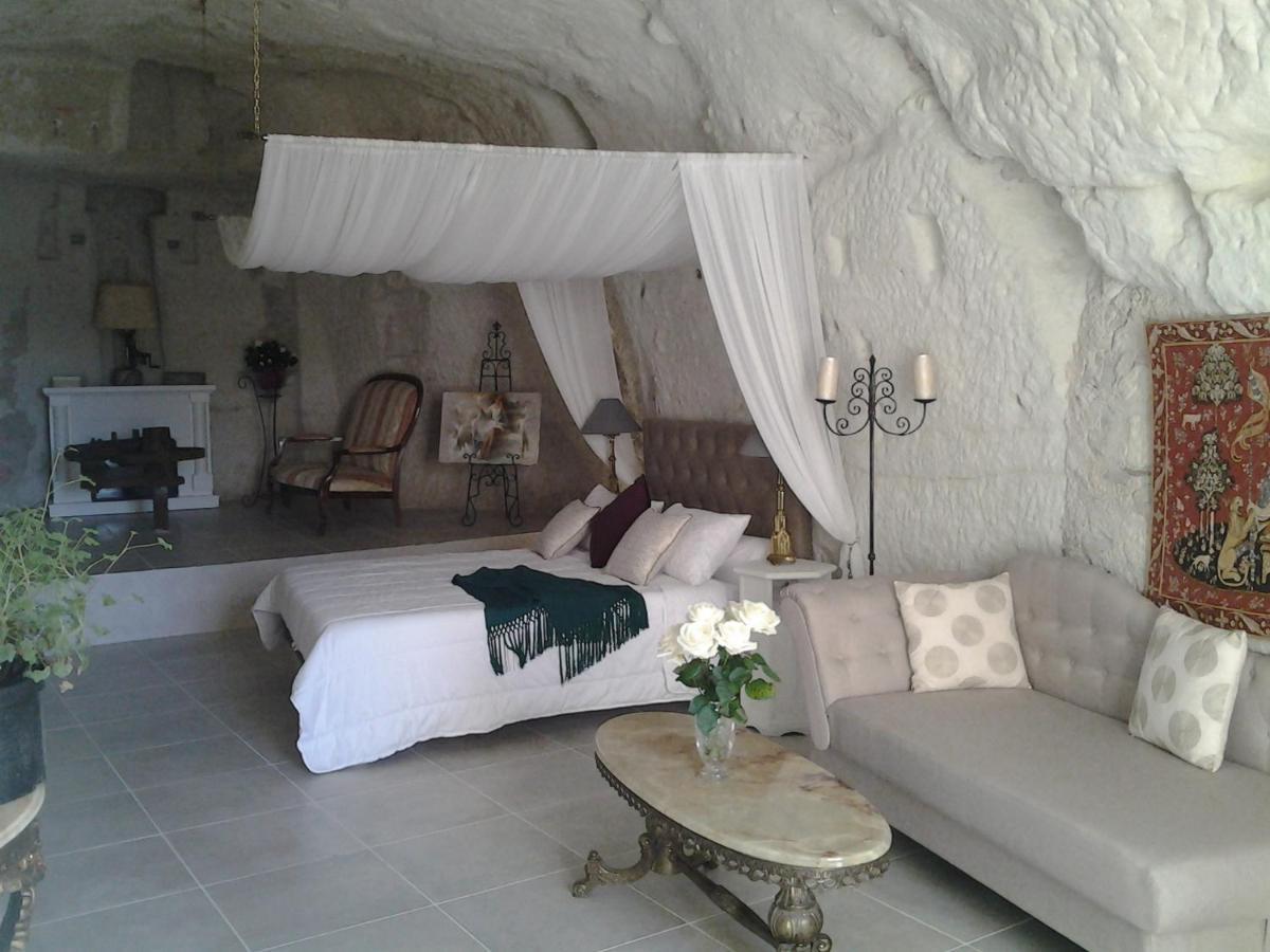 Le Manoir Des Roches Bed & Breakfast Bourré Екстериор снимка