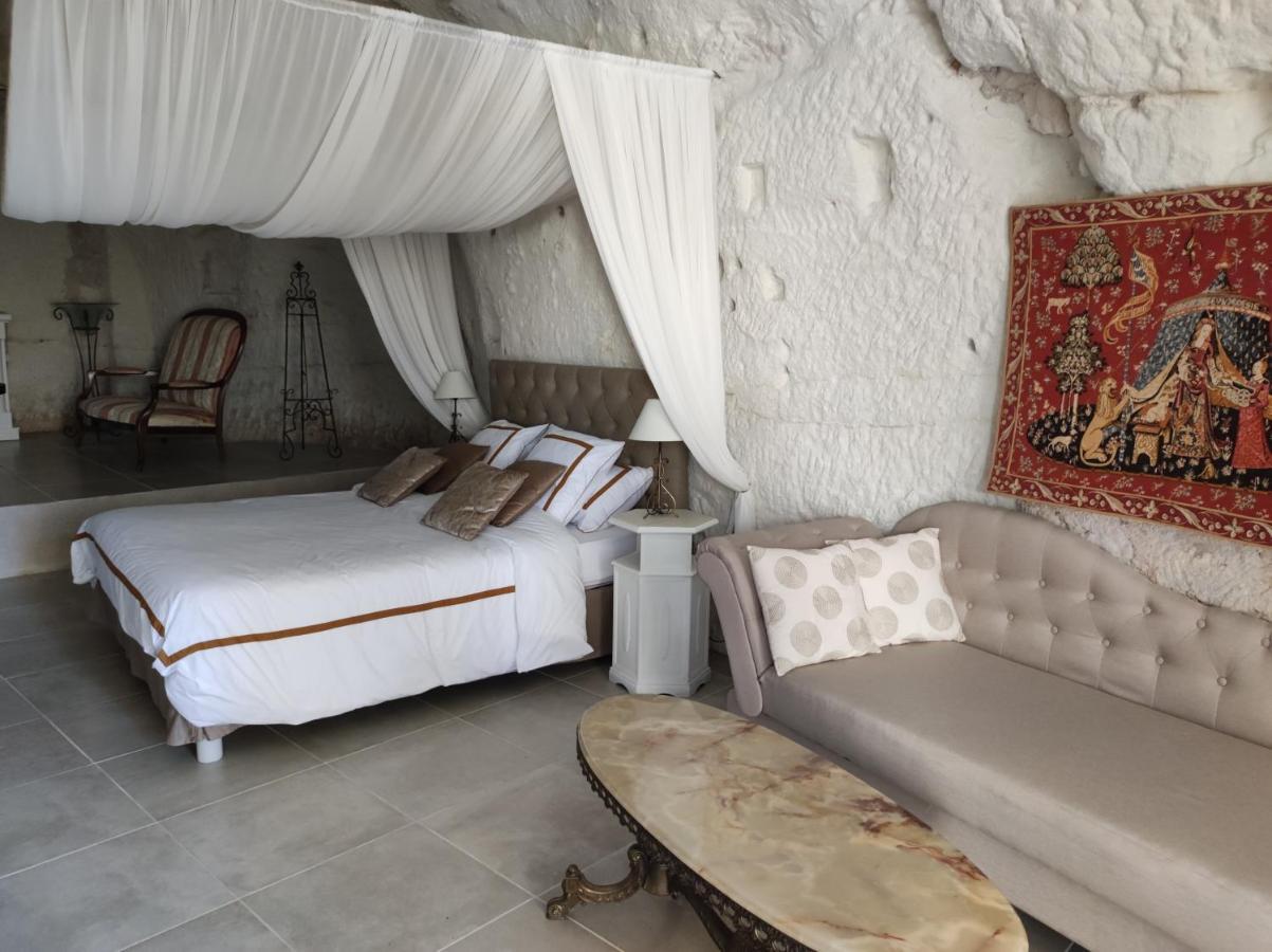 Le Manoir Des Roches Bed & Breakfast Bourré Екстериор снимка