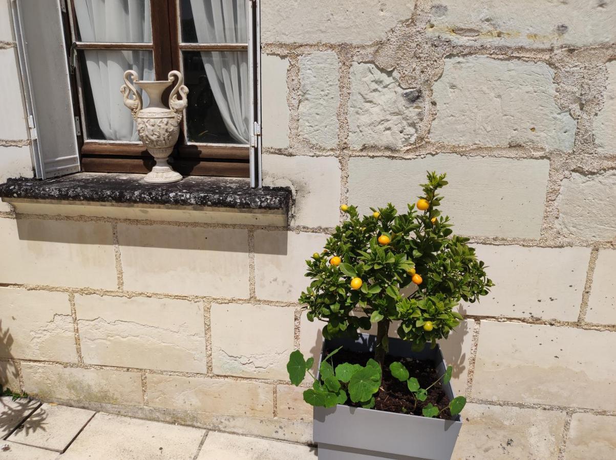 Le Manoir Des Roches Bed & Breakfast Bourré Екстериор снимка