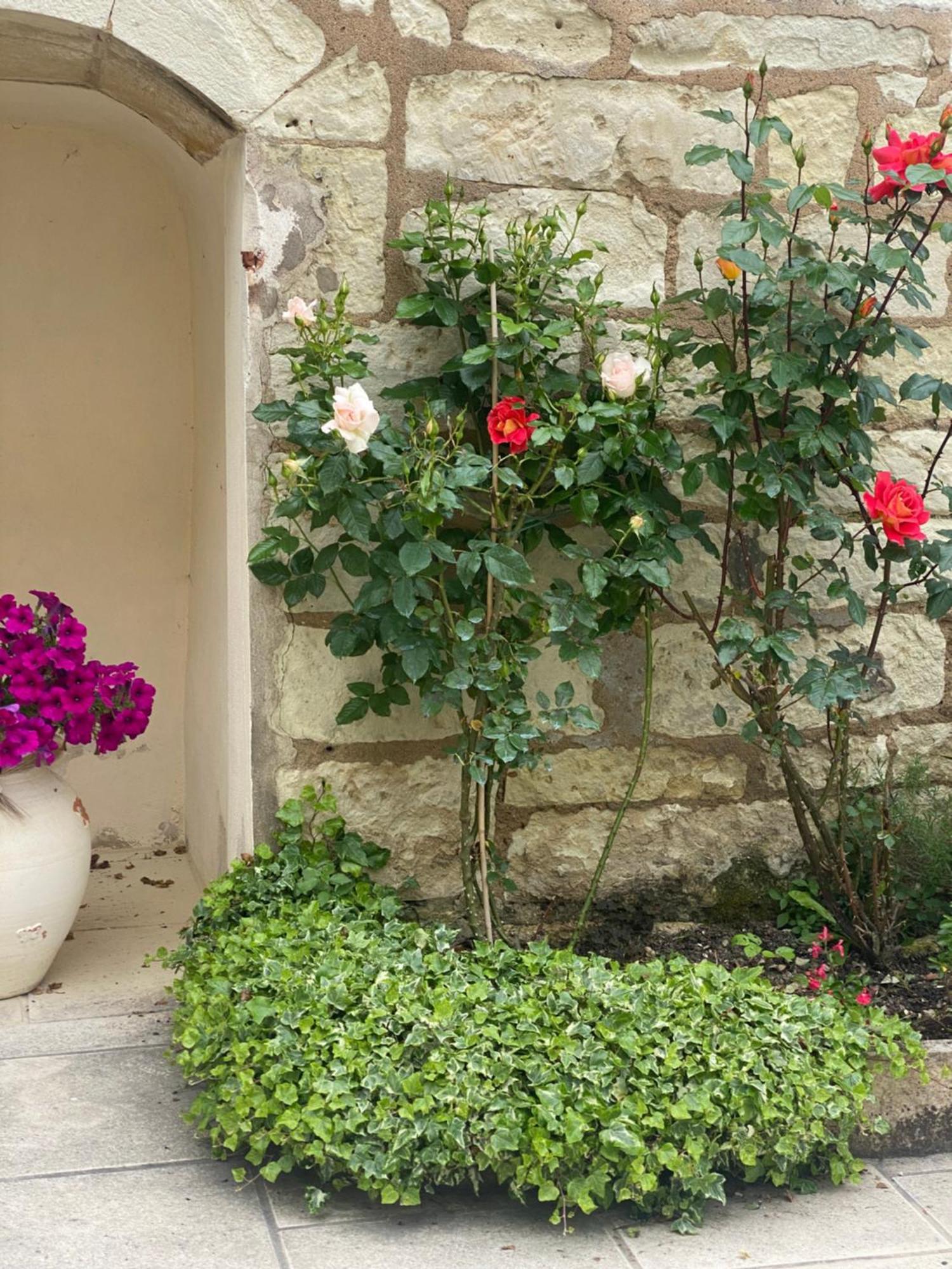 Le Manoir Des Roches Bed & Breakfast Bourré Екстериор снимка