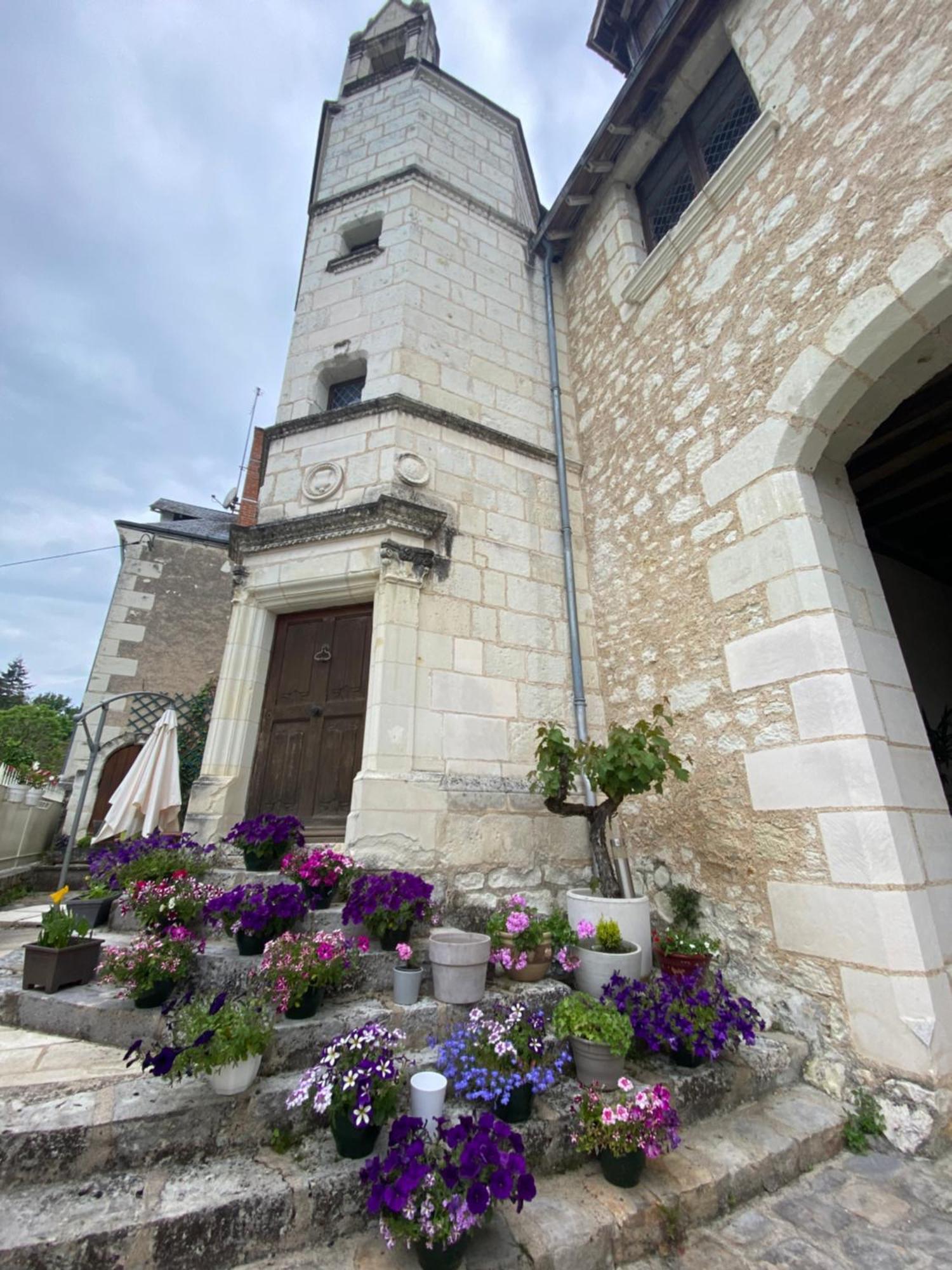 Le Manoir Des Roches Bed & Breakfast Bourré Екстериор снимка