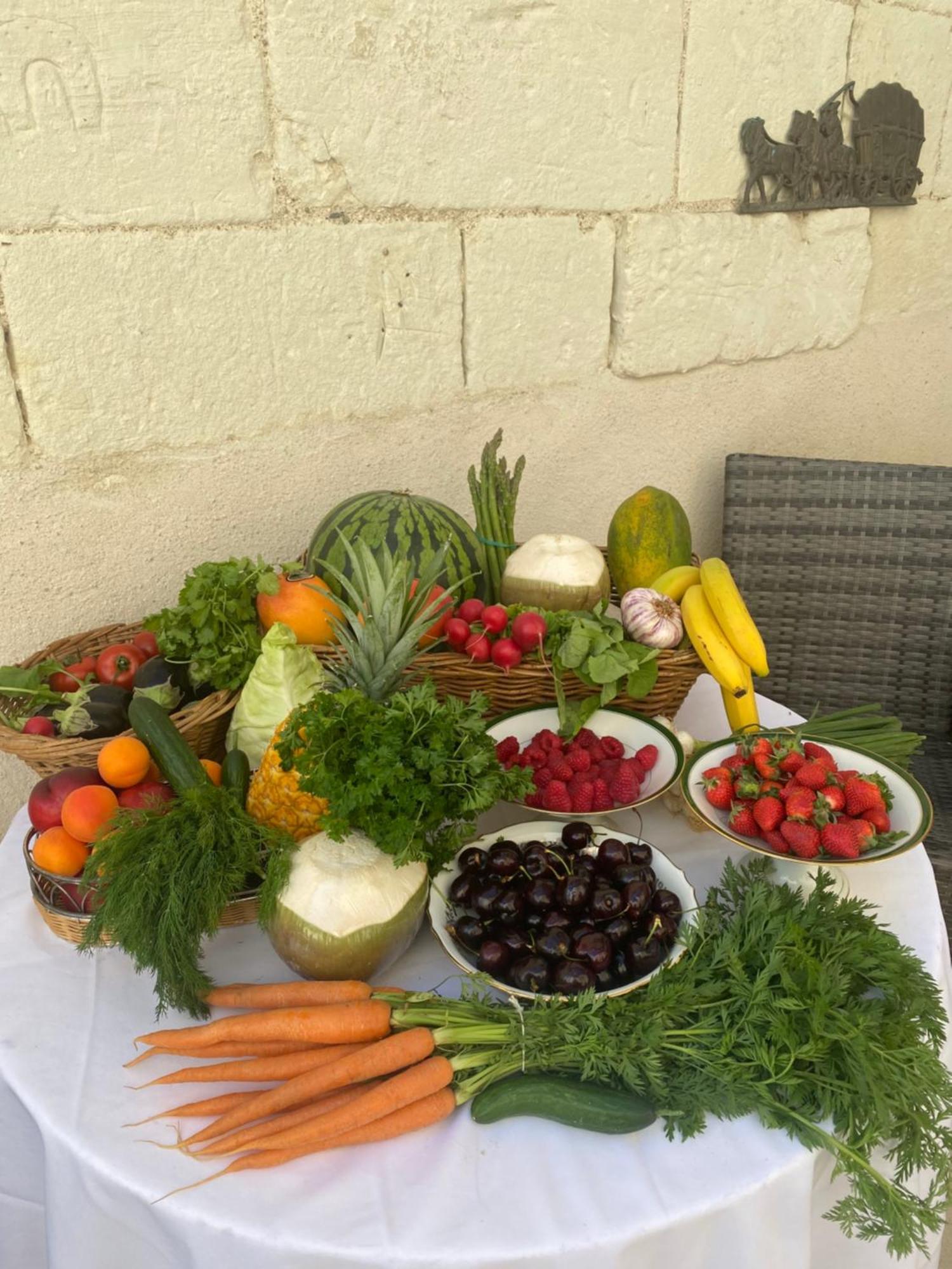 Le Manoir Des Roches Bed & Breakfast Bourré Екстериор снимка